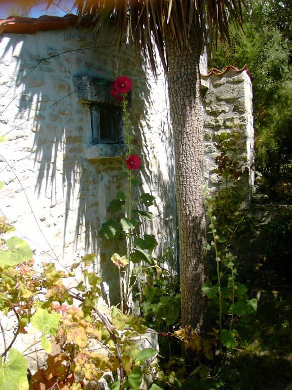 Les Jardins Saint Leonard Thaire Bagian luar foto